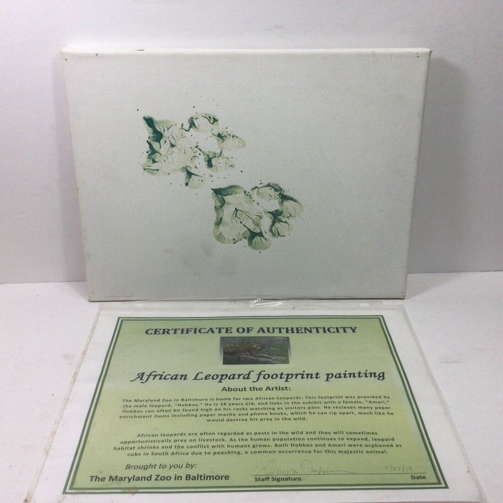 African Leopard Art Footprint w / Certificate Of Authenticity 12x9